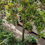 Pick A Flat\'s Apartment in Saint-Germain des Près - Rue Paul Louis Courier